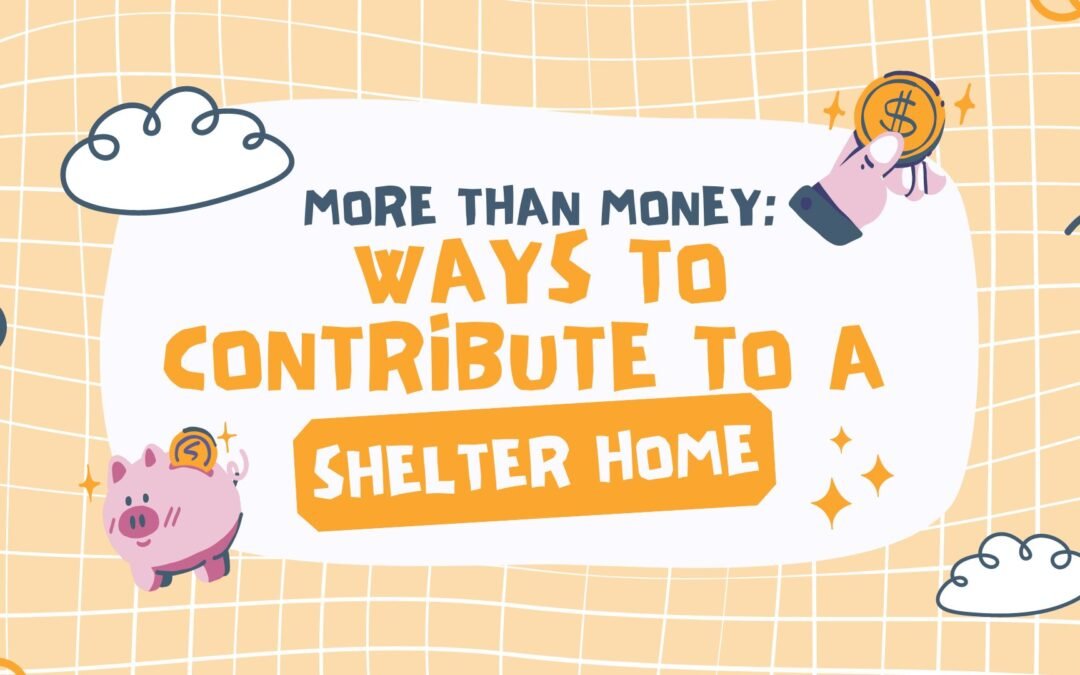 More Than Money: Ways to Contribute to a Shelter Home